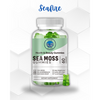 Healthcare Supplements Seamoss Gummies Vegan Organic Sea Moss Gummies